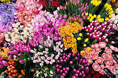 卡普空社长证实《街头霸王6》专为电子竞技而设计